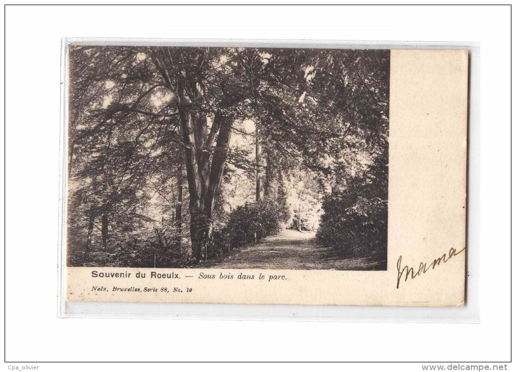 BELGIQUE Le Roeulx, Parc, Sous Bois, Ed Nels, 1904, Dos 1900 *** Princesse De Croij *** - Le Roeulx