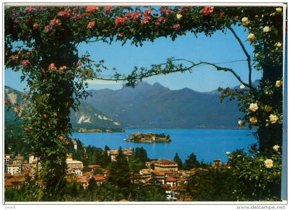 Cart440 Stresa Lago Maggiore Panorama, Rose, Rosaio, Fiori, Lake, Lac - Novara
