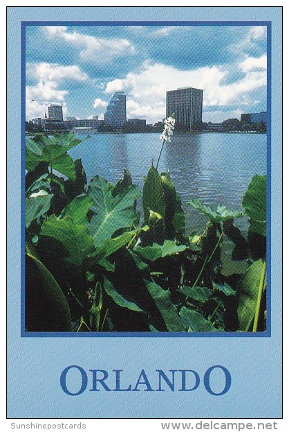 Florida Orlando Lush Tropical Foliage Surrounding One Of Orlandos Many Beautiful Lakes - Orlando