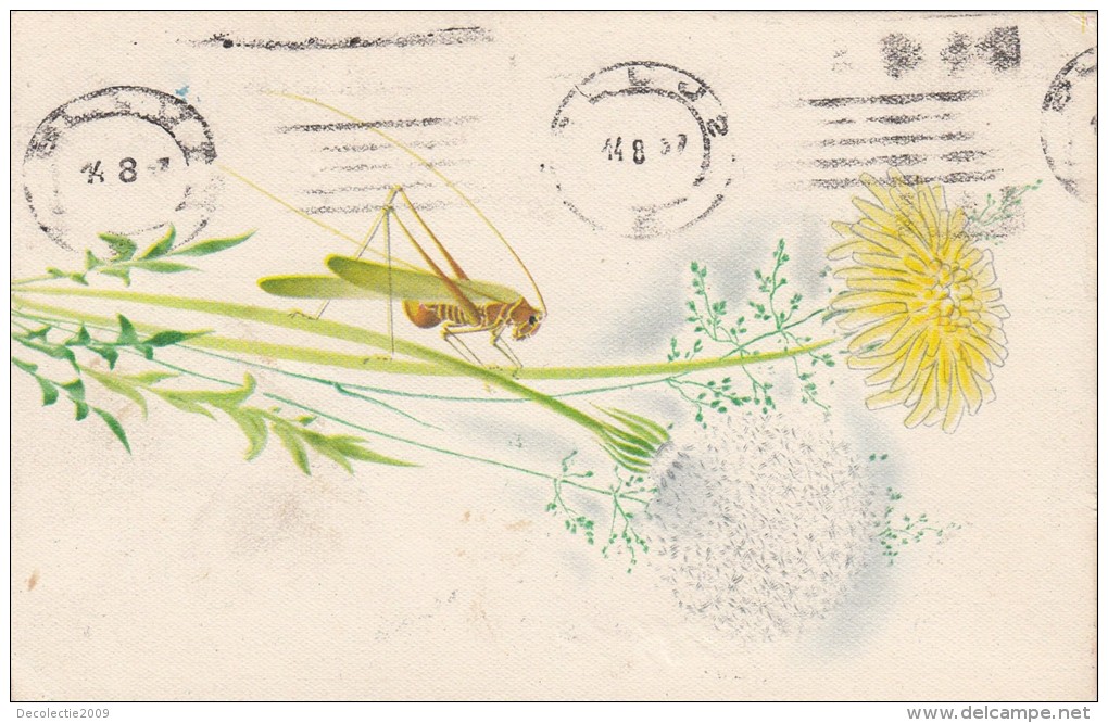 ZS48634 Grasshopper Sauterelle Insects Flowers Fleur    2 Scans - Insectes