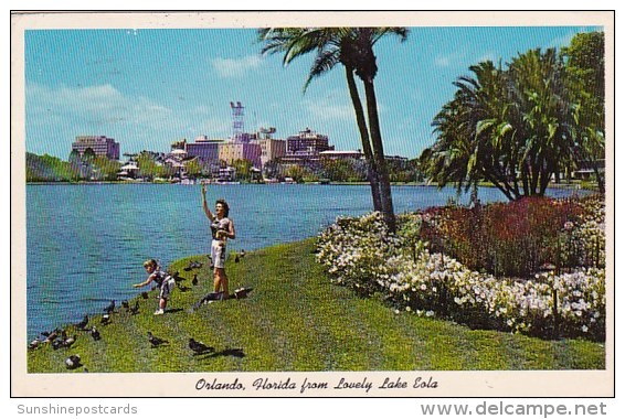 Florida Orlando Feeding The Pigeons On Lake Eola 1963 - Orlando