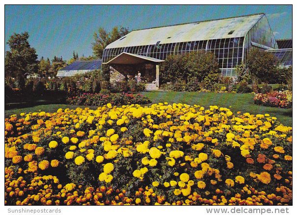 Canada Marigolds And Tropical Aviary Calgary Zoo Alberta - Calgary