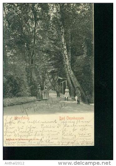 Litho Bad Oeynhausen 15.9.1902 Osterwieck Stempel Birken-Allee Mit Personen - Bad Oeynhausen