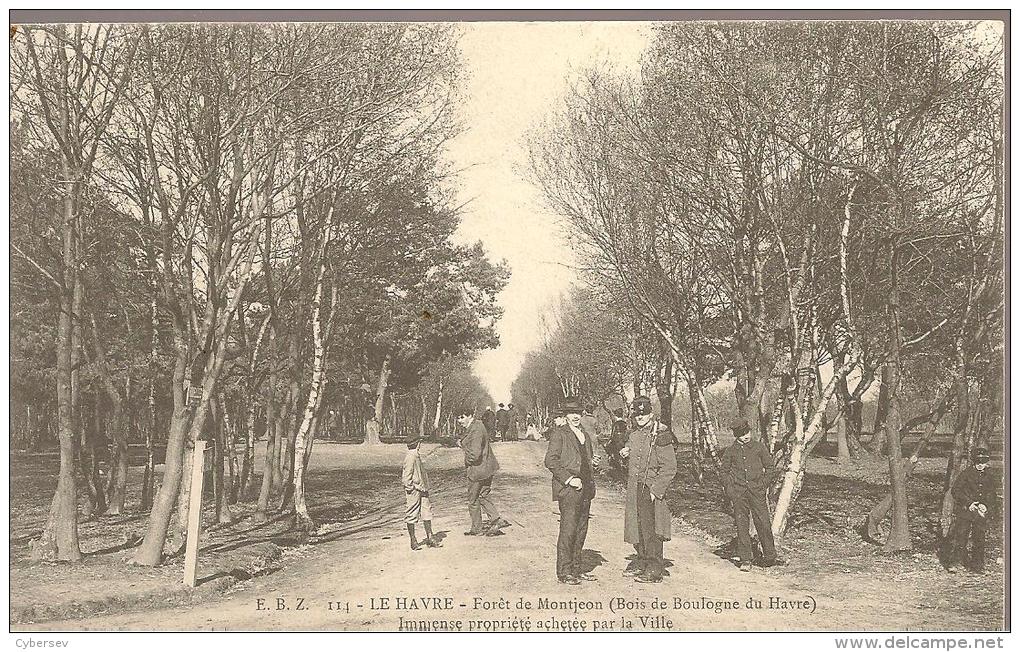 LE HAVRE - Forêt De Montjeon (bois De Boulogne Du Havre) - Animé - Timbré 1906 - Forêt De Montgeon