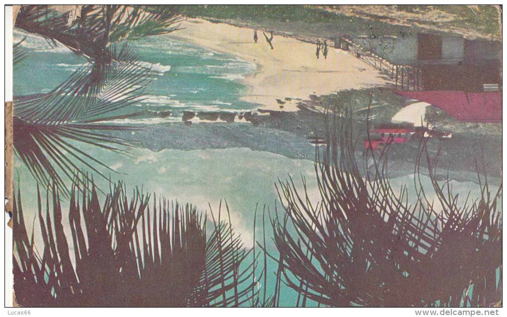 1950 BARBADOS - SANDY BEACH OF BATHSHEBA COAST - Autres & Non Classés