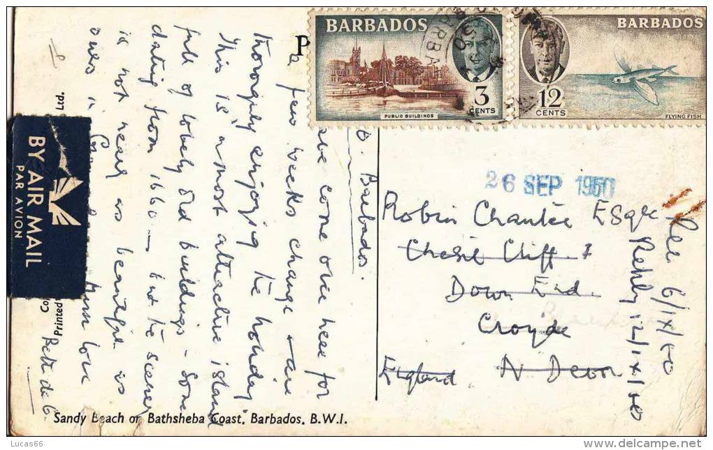 1950 BARBADOS - SANDY BEACH OF BATHSHEBA COAST - Autres & Non Classés