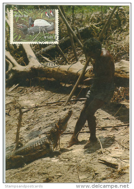 Brésil Reptile Caïman Chasse Carte Maximum Brazil Caiman Maxicard Hunting - Autres & Non Classés