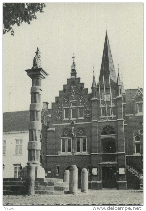 Wommelgem :  Gemeentehuis      (  Groot Formaat ) - Wommelgem