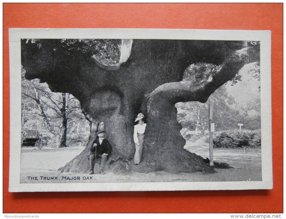 27191 PC: NOTTINGHAMSHIRE: The Trunk, Major Oak. - Other & Unclassified