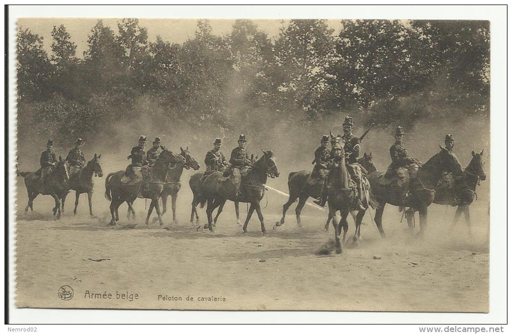 Armée Belge - Peloton De Cavalerie - Autres & Non Classés