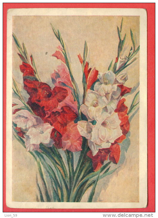 132940 / Flora Flore 1954 Flower Fleur Blüte Gladiolus Gladiolen Glaïeul By ZHITKOV / Stationery Entier / Russia Russie - 1950-59