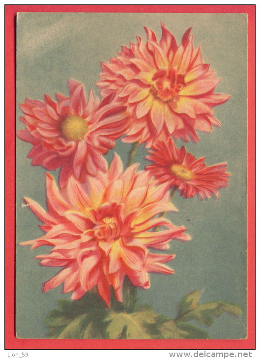 132943 / Flora Flore 1957 Flower Fleur Blüte Dahlia Dahlien Aster Astern / Stationery Entier / Russia Russie - 1950-59