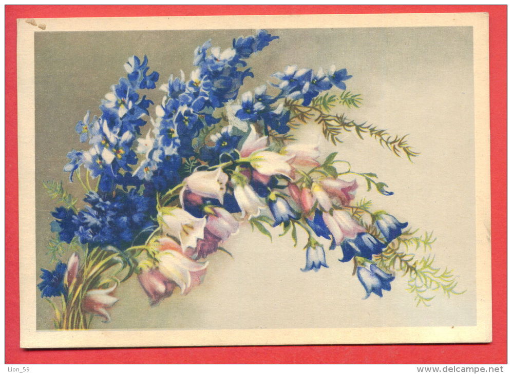 132946 / Flora Flore 1959 Flower Fleur Blüte Wildflowers / Stationery Entier / Russia Russie - 1950-59