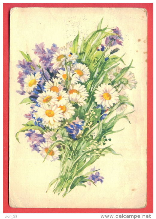 132947 / UKRAINE - Flora Flore 1959 Flower Fleur Blüte Matricaria Campanula By Hvostenko Stationery Russia Russie - 1950-59