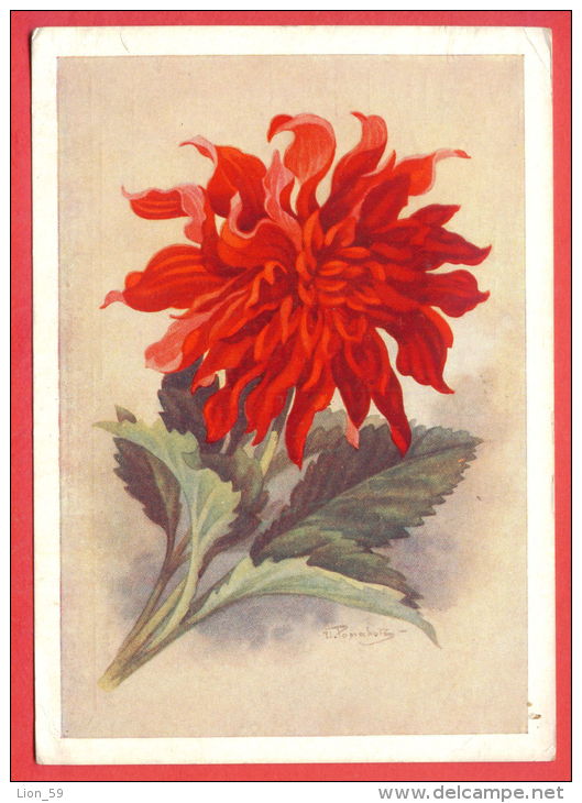 132950 / Flora Flore 1959 Flower Fleur Blüte Dahlia Dahlien By ROMANOV / Stationery Entier / Russia Russie - 1950-59