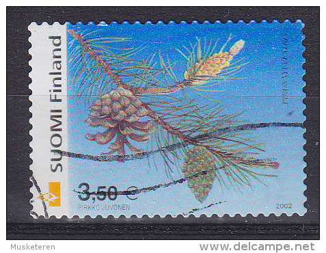 Finland 2002 Mi. 1604     3.50 € Baum Kiefer - Used Stamps