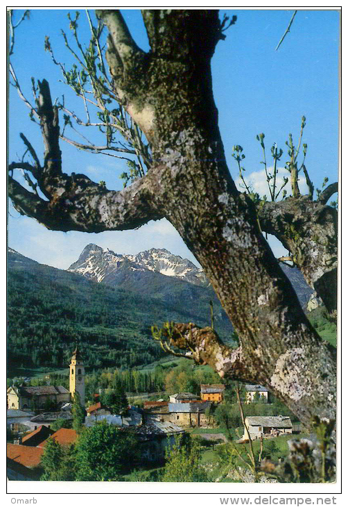 Cart405 Bardonecchia Chiesa Parrocchiale Sant'ippolito Monte Colonion Mount Churc Eglise Mont Albero Tree - Panoramic Views