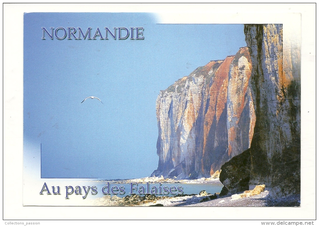 Cp, Haute Normandi, Falaises Du Pays De Caux, Voyagée 2012 - Haute-Normandie