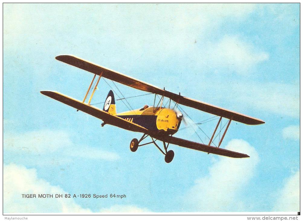 Tiger Moth - 1919-1938