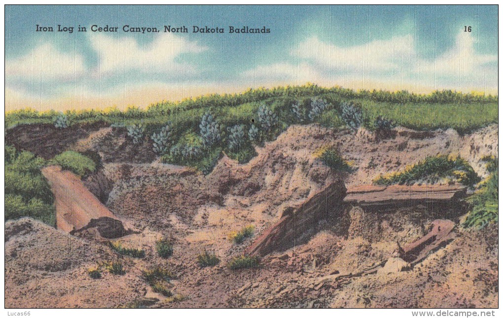 C1950 IRON LOG IN CEDAR CANYON NORTH DAKOTA BADLANDS - Autres & Non Classés