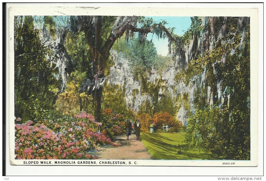 Sloped Walk , Magnolia Gardens , CHARLESTON , SC , CPA ANIMEE , 1930 - Charleston