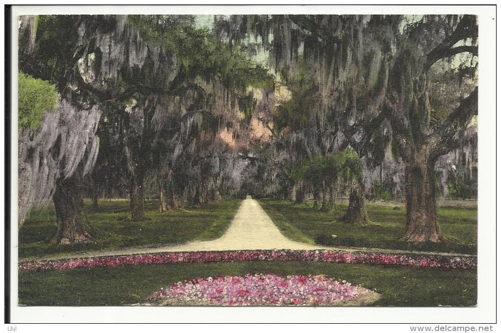 The Oaks Gardens , CHARLESTON , SC - Charleston