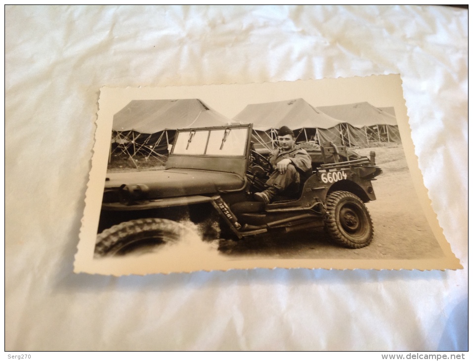 Photo  Chars D Assaut  Algérie  Militaria - Vehicles