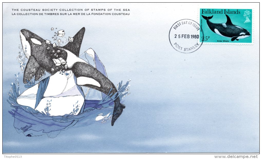 FALKLAND. N°298 Sur Carte Maximum (Maximum Card) De 1980. Orque/Baleine. - Baleines