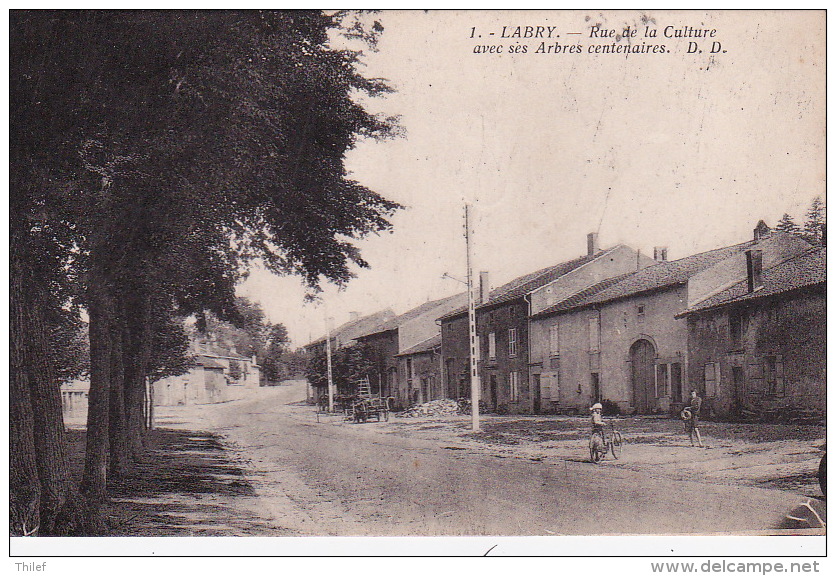 Labry 1: Rue De La Culture Avec Ses Arbres Centenaires 1931 - Autres & Non Classés