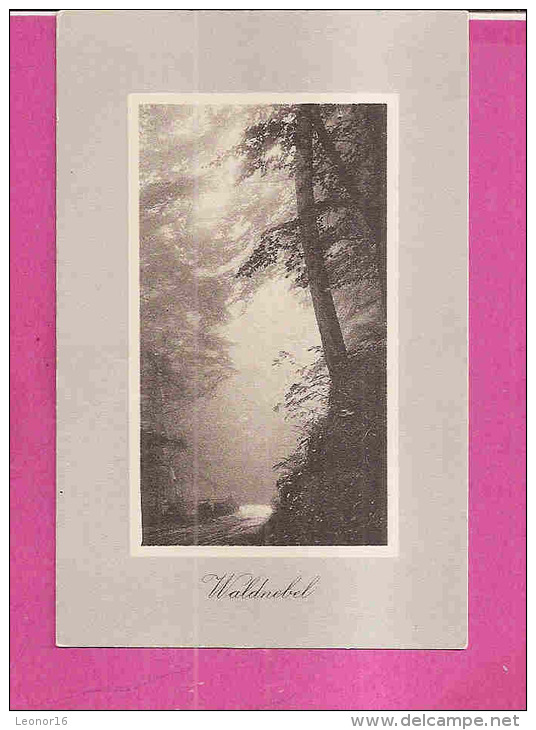 GRINDELWALD   -   ** WALDNEBEL **   -   Editeur : WEHRLI  A.G. De Kirchberg   N° 16949 - Kirchberg