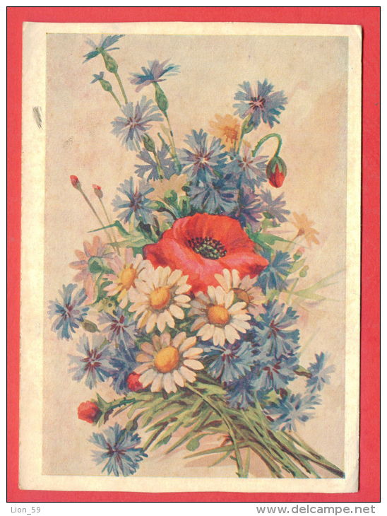 133195 / Flora Flore 1955 Flower Fleur Blüte Papaver Poppy Mohn Pavot By DOMASCHENSKO Stationery Entier Russia Russie - 1950-59