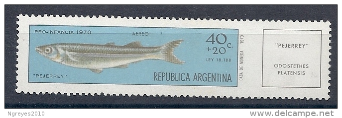 130606005  ARGENTINA    YVERT   AEREO  Nº  137    **  MNH - Luchtpost