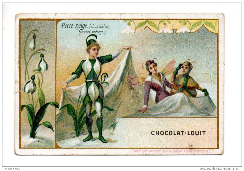 Chromo - Chocolat Louit - Perce-Neige (consolation Heureux Présage) - Louit