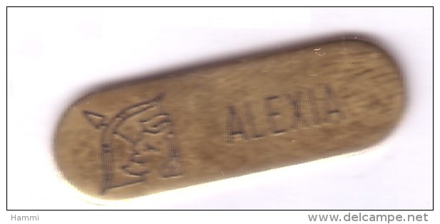 SP62 Pin's Tir à L'arc Prénom ALEXIA Achat Immédiat Immédiat - Archery