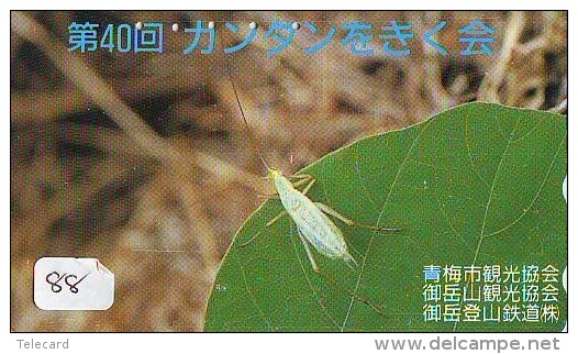 Télécarte JAPON * TELEFONKARTE JAPAN (88) INSECTE * Scarabée * BEETLE INSECT Phonecard * KEVER * - Other & Unclassified