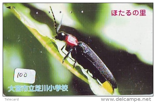 Télécarte JAPON * TELEFONKARTE JAPAN (100) INSECTE * Scarabée * BEETLE INSECT Phonecard * KEVER * - Autres & Non Classés