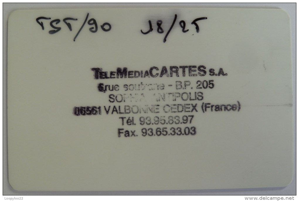 FRANCE - Telemediacartes S.A - Hertz - Test / Demo Smart Card - Bull - Internes