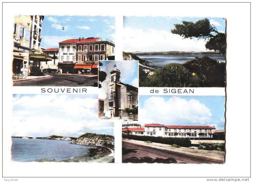 11 SIGEAN Multivue, Souvenir, Place, Etang, Ed APA 1, CPSM 10x15, 1969 - Sigean