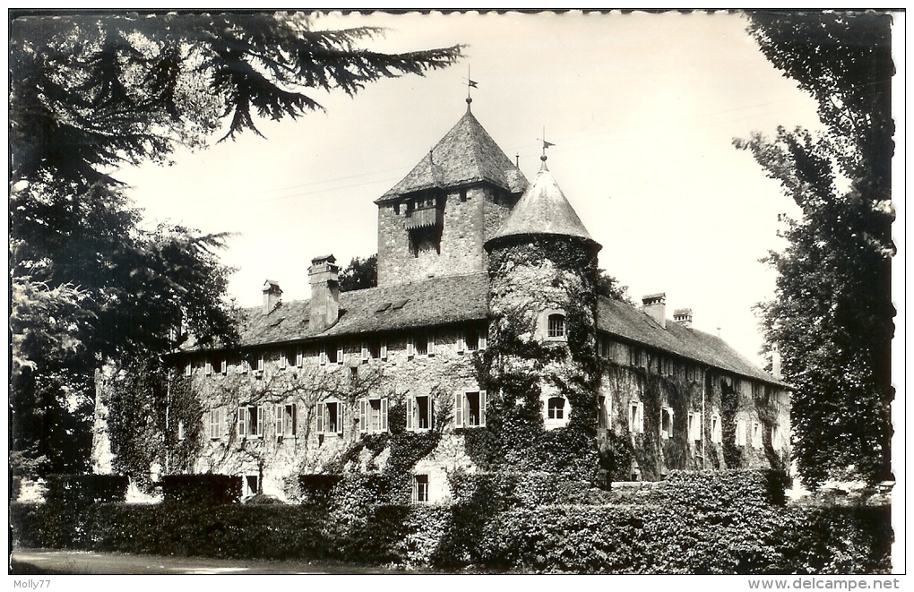 CPA 74 Sciez - Le Chateau De Coudrée - Sciez