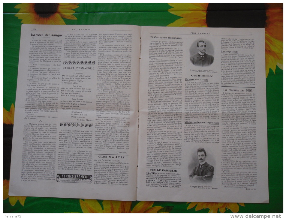 PRO FAMILIA N.187  1904 ESPOSIZIONE INTERNAZIONALE DI ORTICOLTURA TORINO CINA MACAO - Society, Politics & Economy