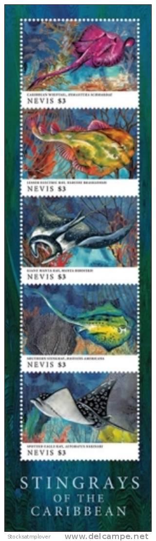 Nevis-2013-Fish-Marine Life-STINGRAYS OF THE CARIBBEAN SHEETLET OF 5 - Marine Life