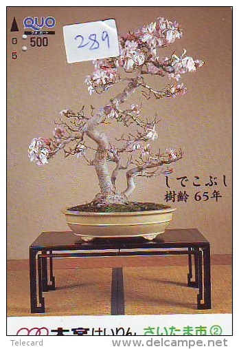 Carte Prépayée  Japon  * Arbre Nain * BONSAI (289)  Dwarf Tree Japan Prepaid Card * Karte Baum * - Flores