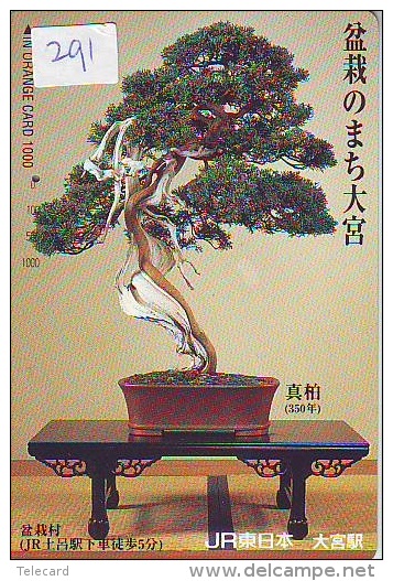 Carte Prépayée  Japon  * Arbre Nain * BONSAI (291)  Dwarf Tree Japan Prepaid Card * Karte Baum * - Flores