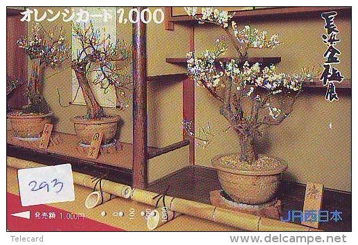 Carte Prépayée  Japon  * Arbre Nain * BONSAI (293)  Dwarf Tree Japan Prepaid Card * Karte Baum * - Flowers