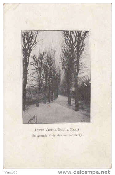 CPA E VELLOIS- TREES IN WINTER - Herrlich, Lotte