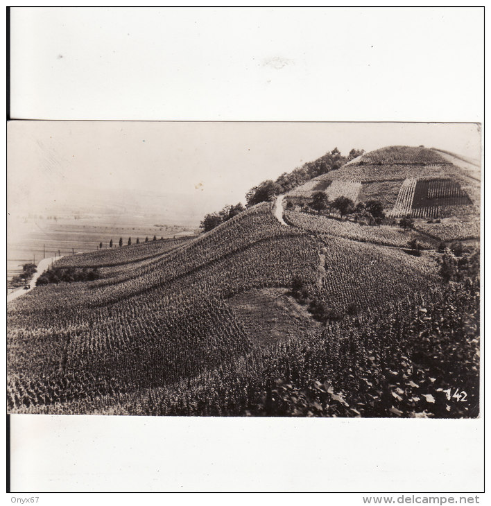 BECH-KLEINMACHER/REMICH (Luxembourg) Les Vignobles Du "Hebierg"-VIN-Affranchissement-Timbre-DOCU Photo-2 SCANS - - Autres & Non Classés