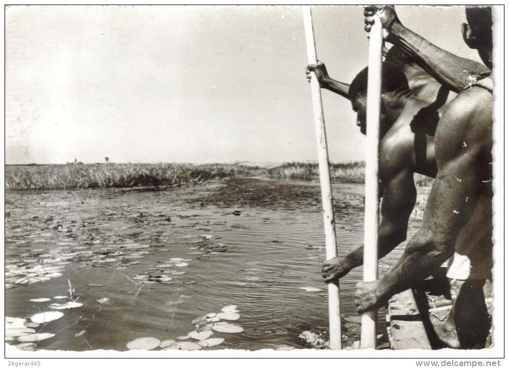 CPSM ZAMBIE - Rameurs Sur Le Canal (longeant Le Zambeze - Sambia