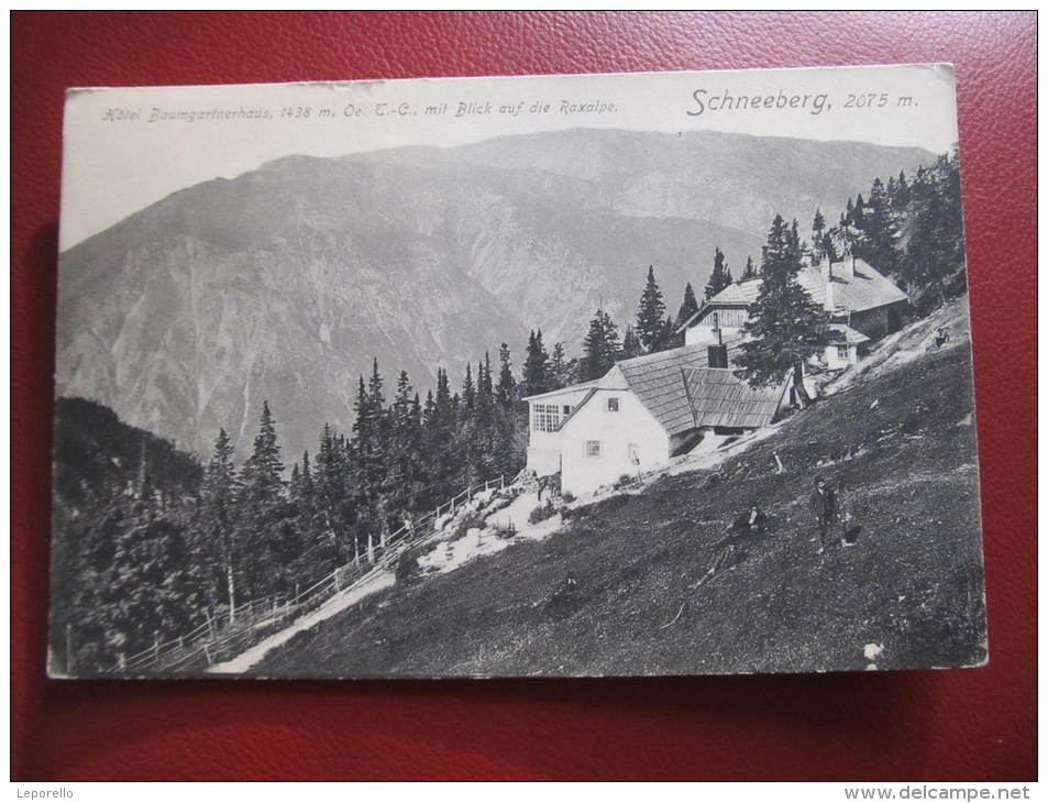 AK SCHNEEBERG Baumgartnerhaus 1910   //  D*8492 - Raxgebiet