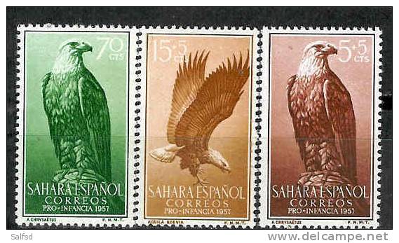 Spain Sahara Edifil # 139/141 ** MNH Set Aves / Birds - Sahara Español