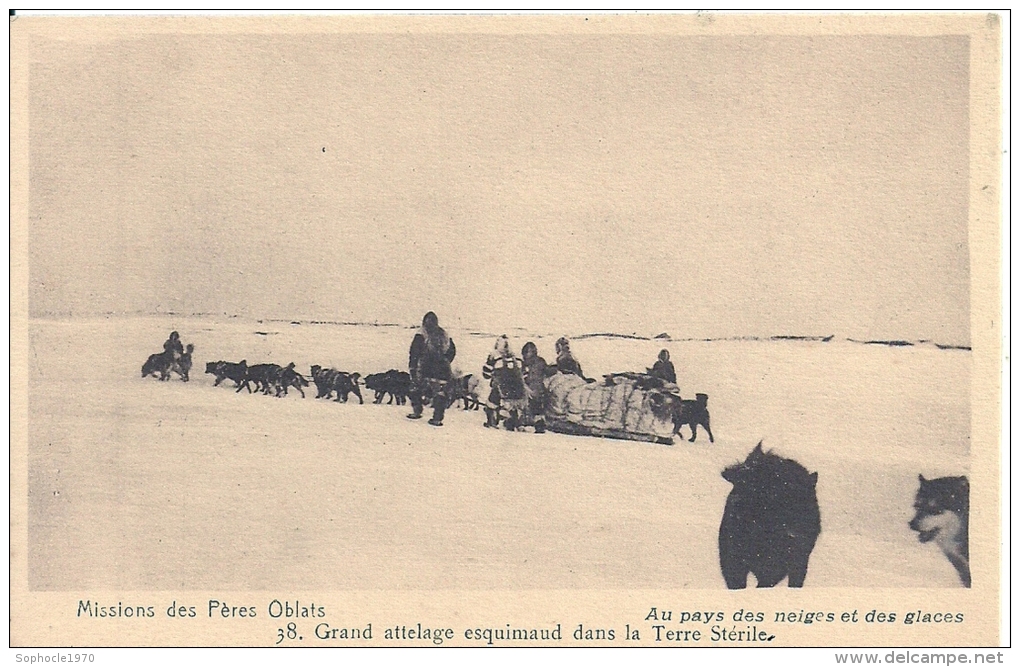 AMERIQUES DU NORD - CANADA - ESQUIMAUX Missions Des Pères Oblats - Grand Attelage Esquimaud Dans Terre Stérile - Altri & Non Classificati